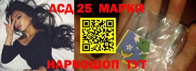 гашик Новодвинск