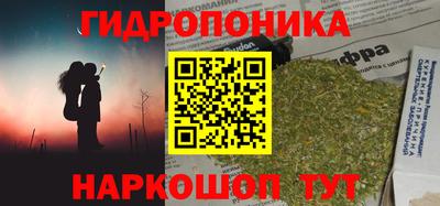 гашик Новодвинск