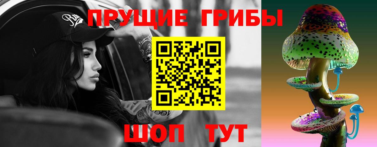 Псилоцибиновые грибы ЛСД  Вход с VPN  Тулун  Галлюциногенные грибы MAGIC MUSHROOMS 