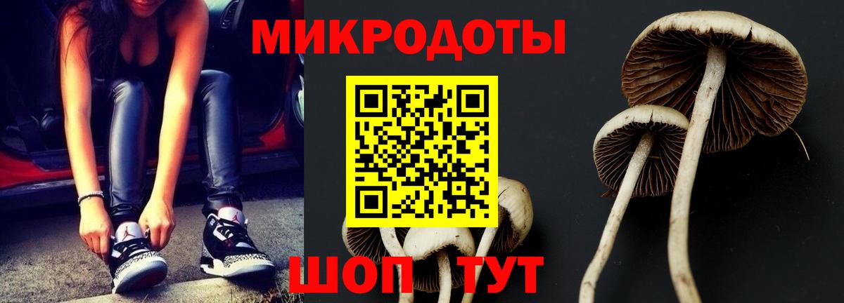 Псилоцибиновые грибы MAGIC MUSHROOMS Тулун